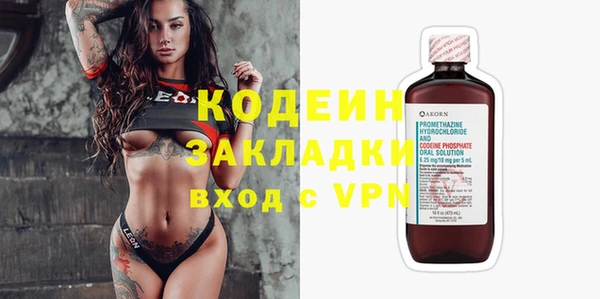 СК Новозыбков