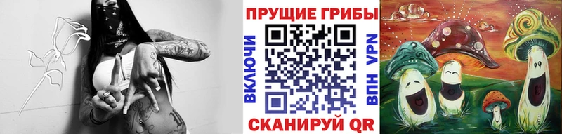 Галлюциногенные грибы мухоморы  Новосокольники 